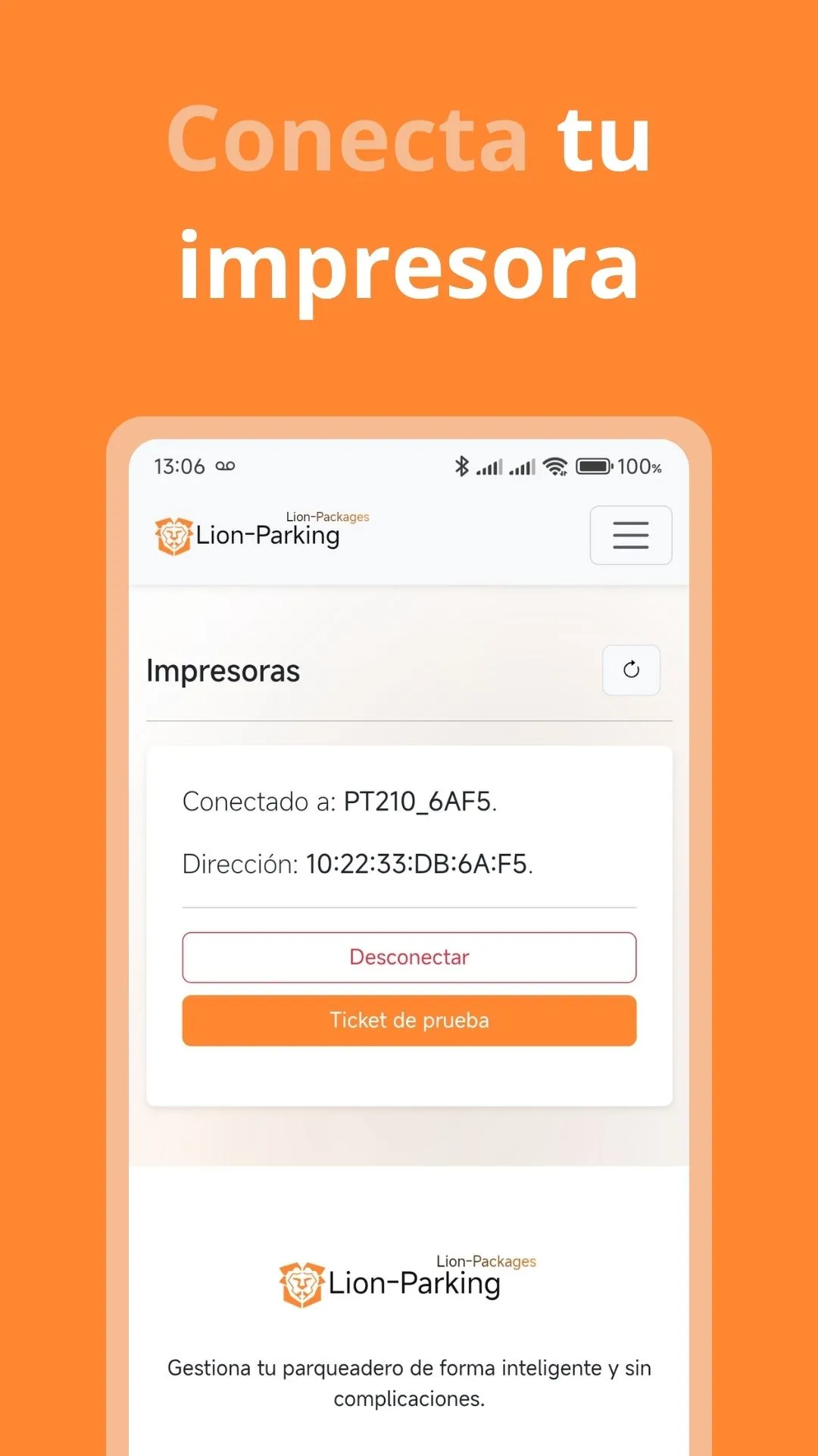 Lion-Parking screenshot 4
